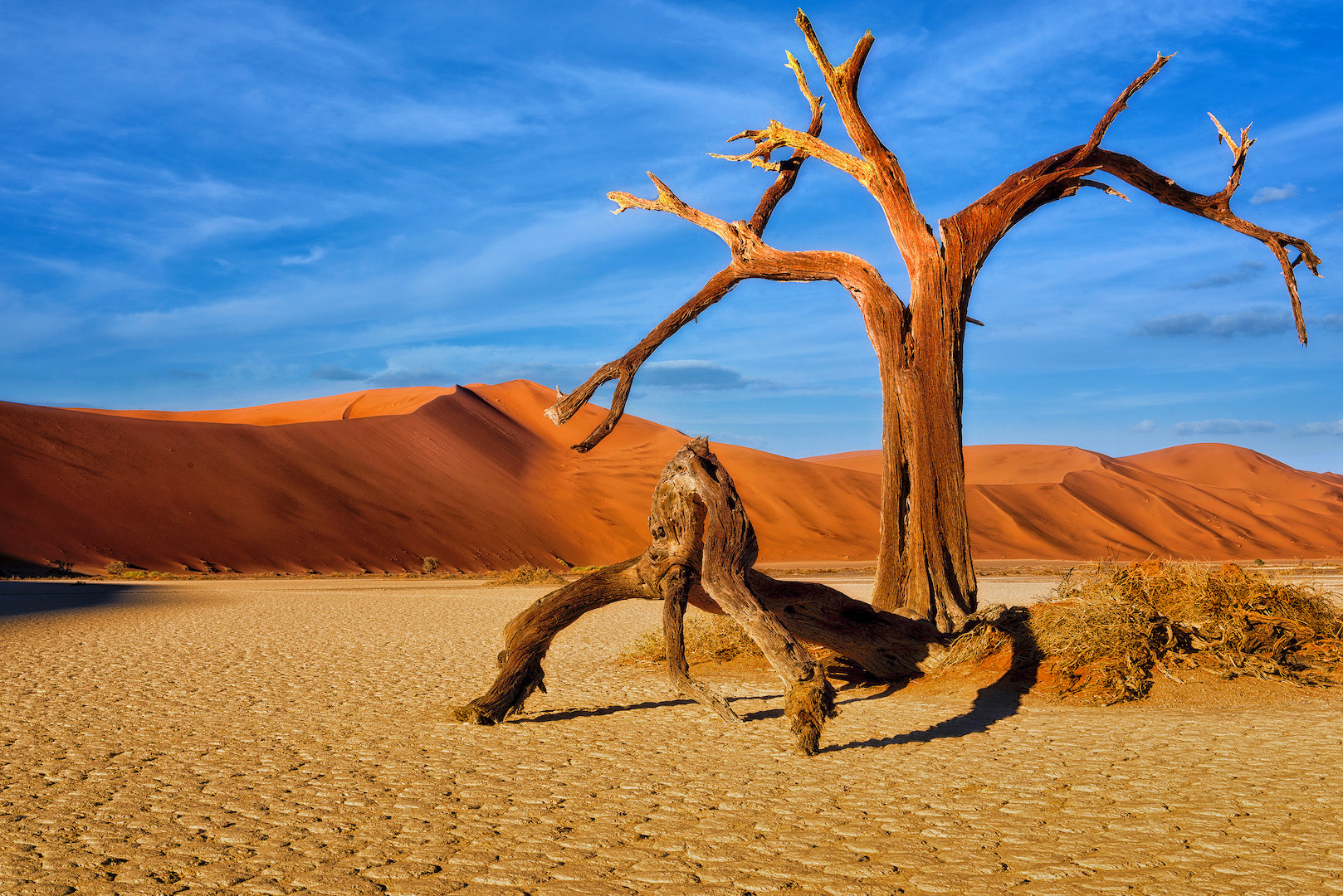 Prints Open Colour-Madiba Bay Bronze Medal Best Madiba Bay Club Entry-Rondevlei Sossus-Antionette Morkel-Uitenhage Camera Club