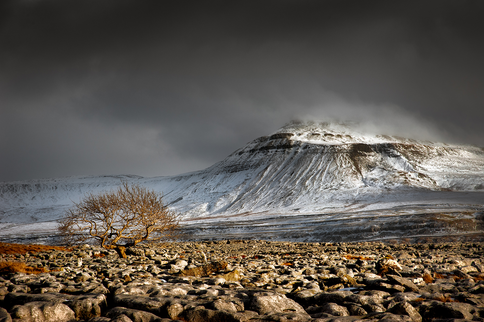 FIAP Gold Medal - Color Prints - Winter in the Dales - Tom Richardson - United Kingdom