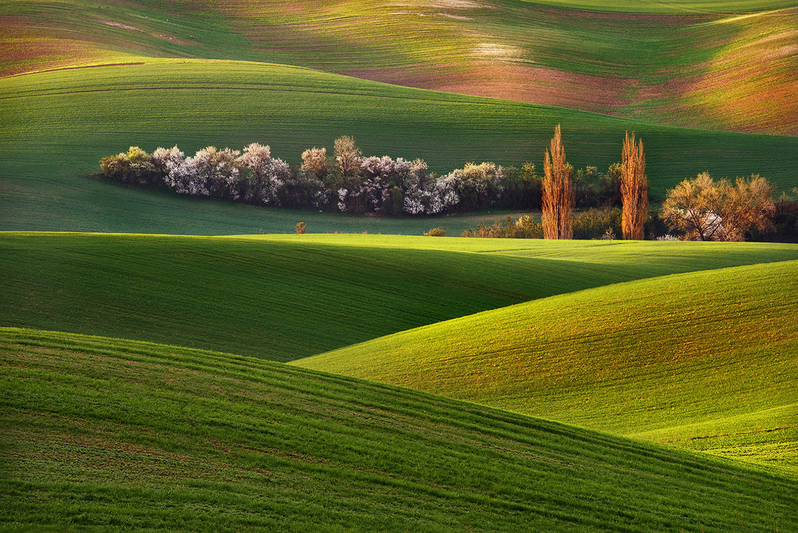 PSSA Silver Medal - Open Colour - Moravian hills - Grzewgorz Lewandowski - Poland