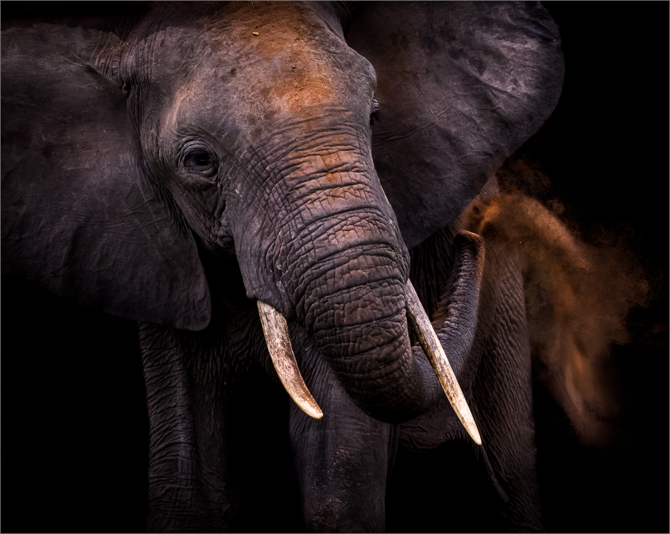 Alberton Camera Club Bronze Medal-Nature-Colour-Giant Smoking-Annemarie Du Plessis-Pietersburg Photografie Klub