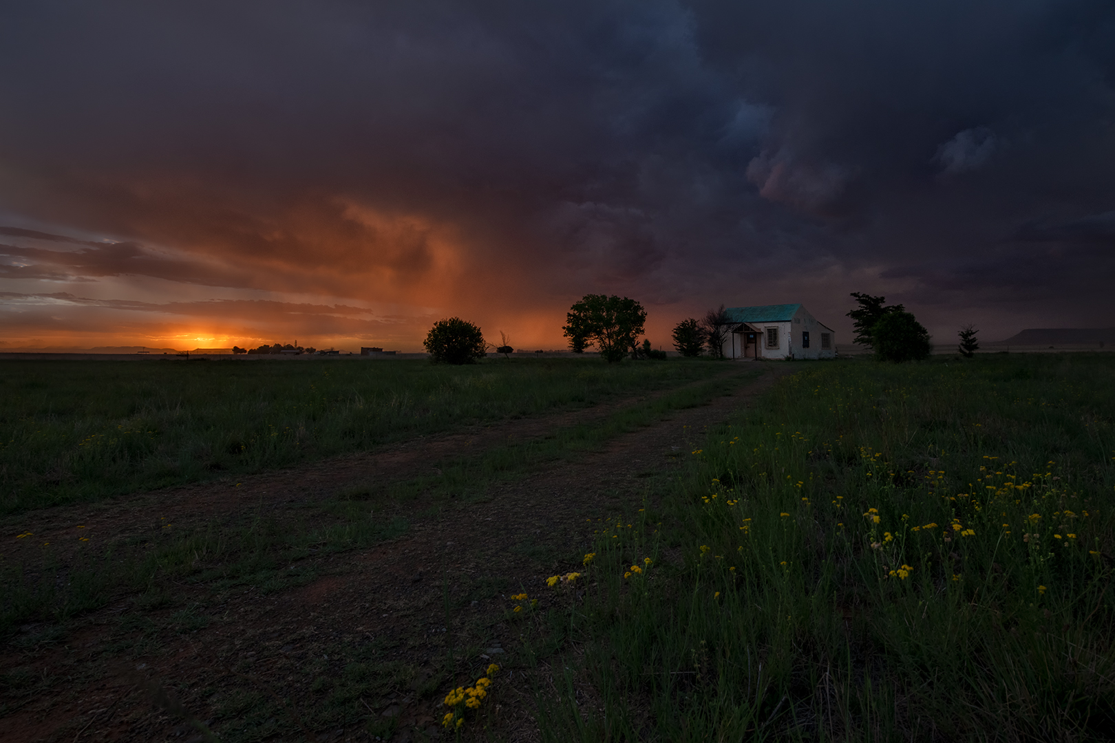 PSSA Silver Medal-Scapes-Colour-Huissie met geel blommetjies-Trix Jonker-Bloemfontein Kammeraklub