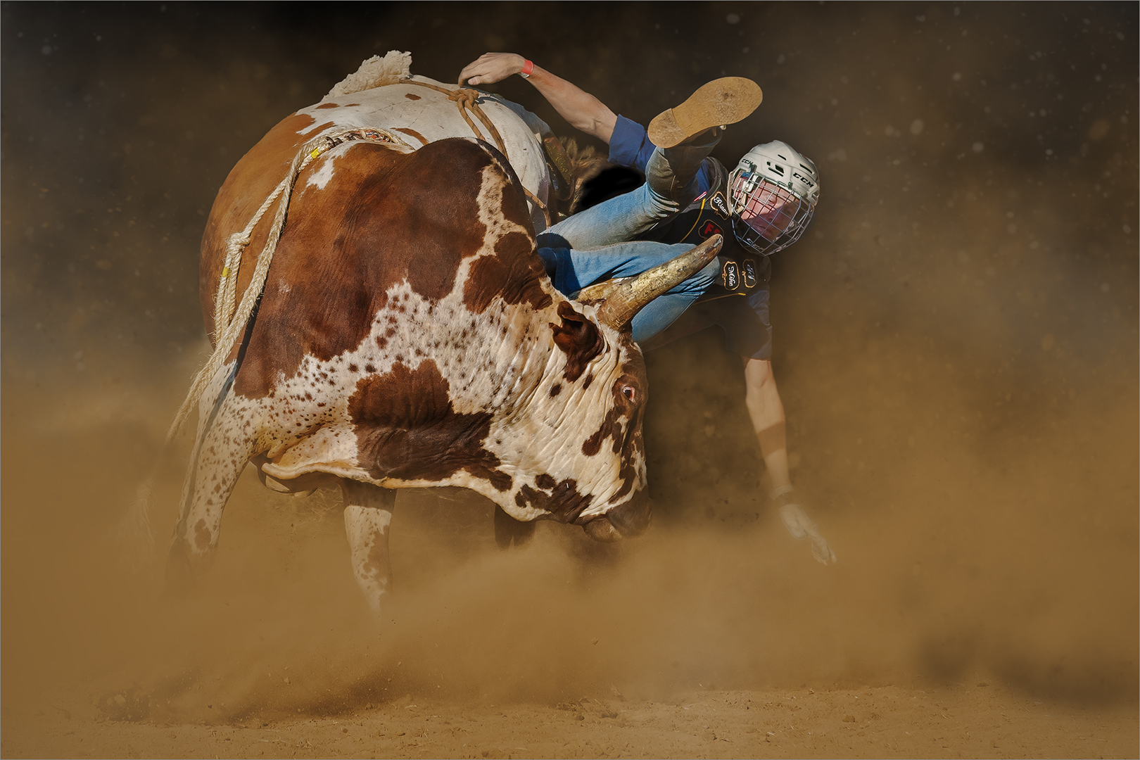 Benoni Camera Club Silver Medal  PJ and Sport Colour Rodeo Rider DSC4256 Jorge Borralho Edenvale Photographic Club