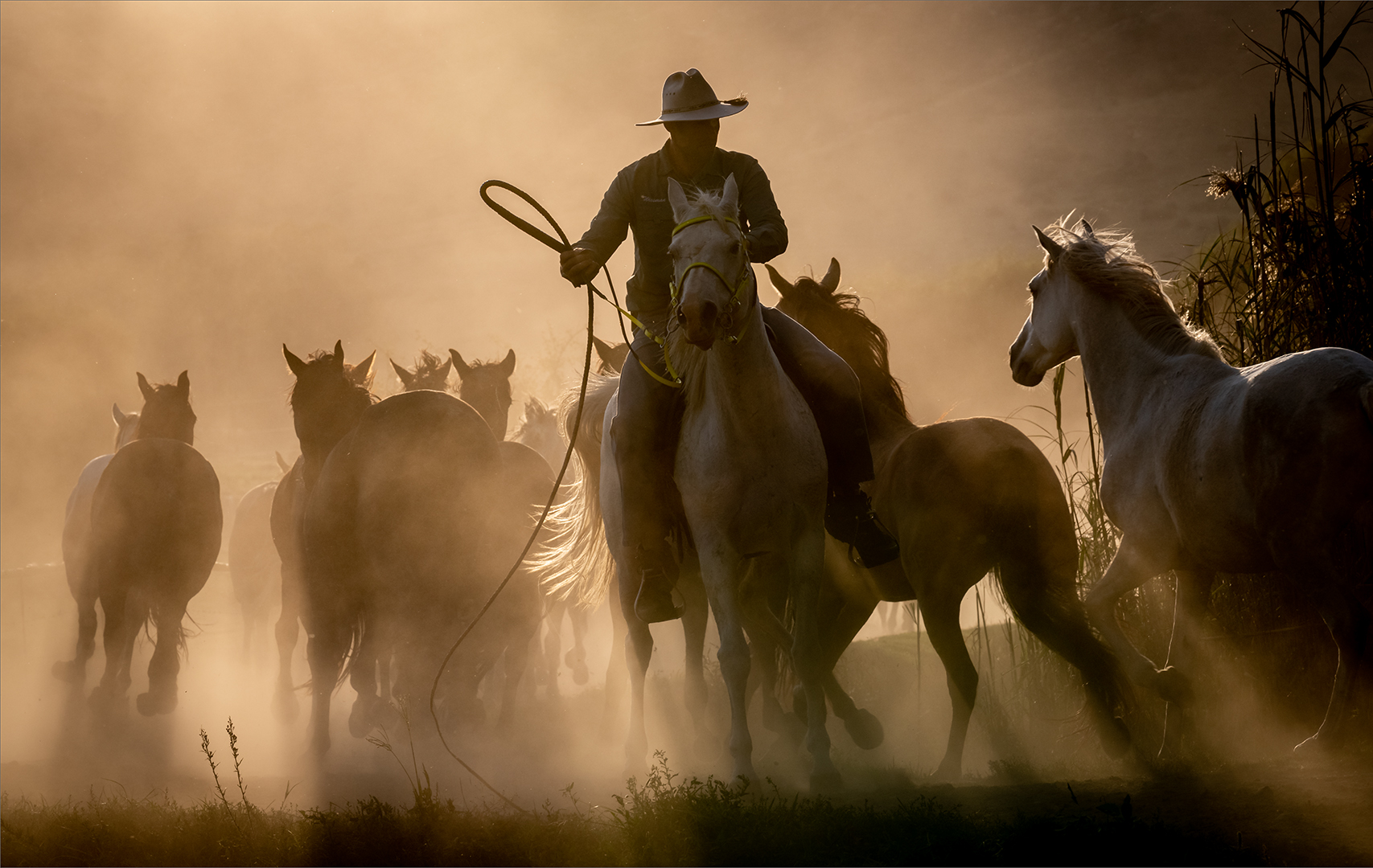 PSSA Silver Medal  Open Colour The cowboy at sunset Renee Storme Vanderbijlpark Fotografiese Vereniging