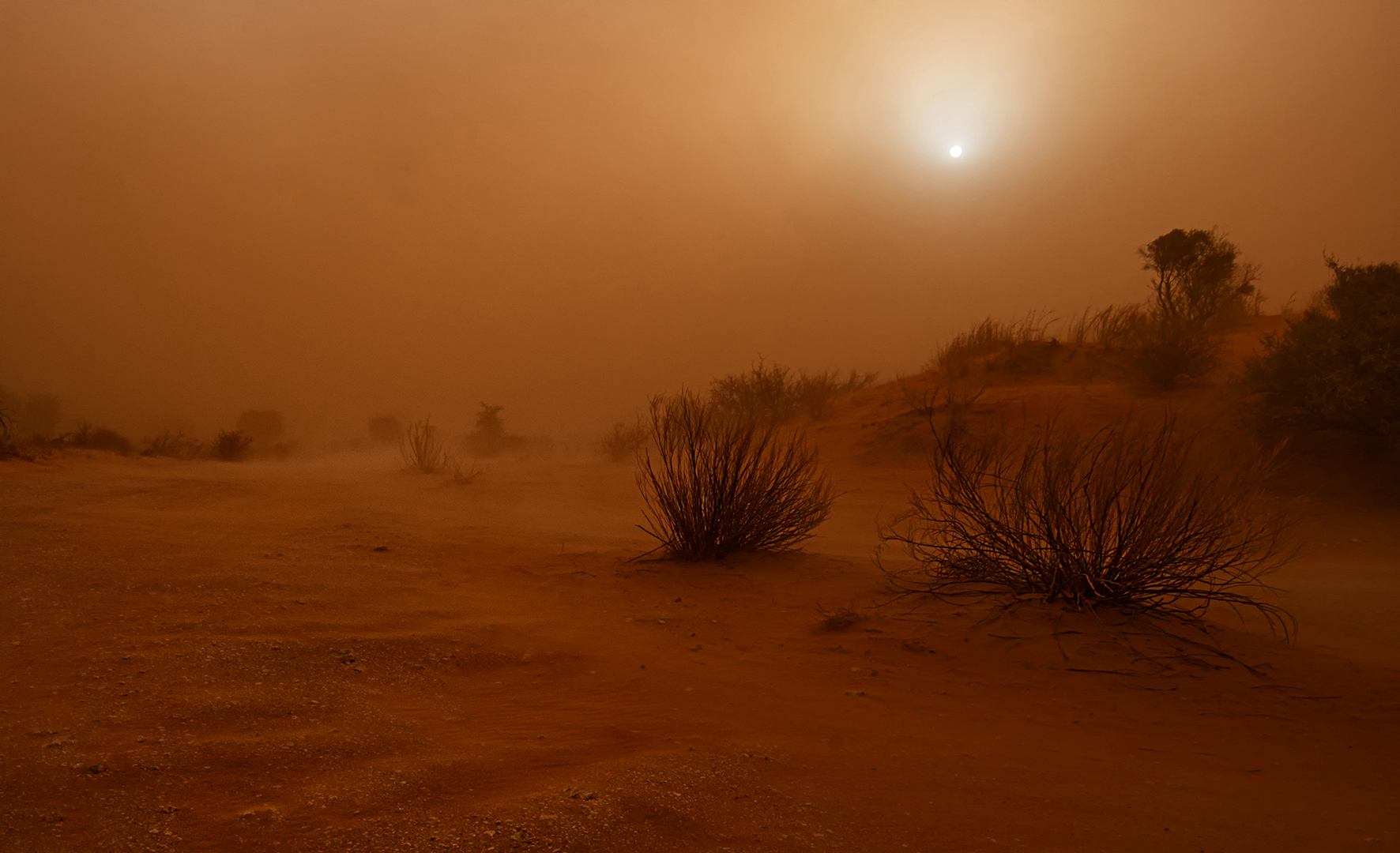 PSSA Silver Medal  Scapes Colour Stof landskap Efraim Van der Walt Bloemfontein Kameraklub