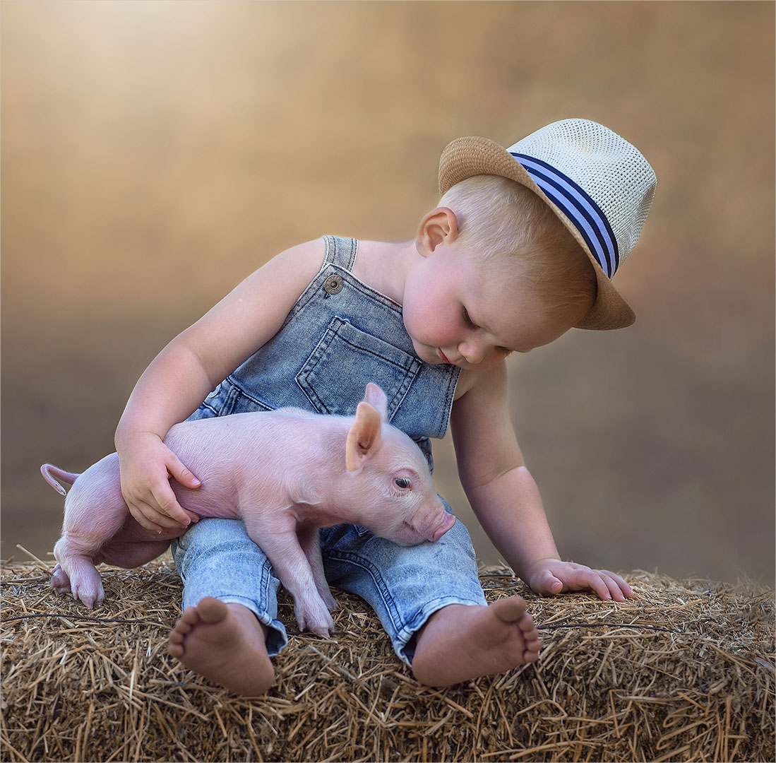 PSSA Bronze Medal Junior Category Winner Open - Rosie de Jager - This Little Piggy - Vanderbijlpark Fotografiese Vereniging