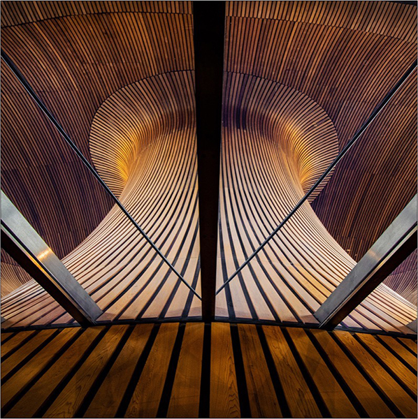 Paarl Silver-Abstract Colour-The Sennedd-Louise Jackson-AFO Photography Club