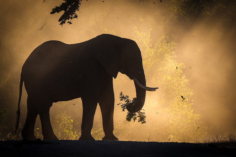 Derrick Smit Late afternoon meal