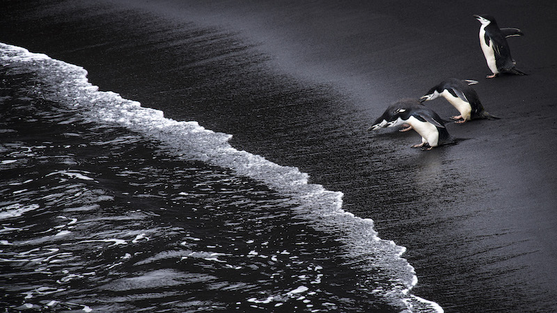 Dewald Tromp At the waters edge