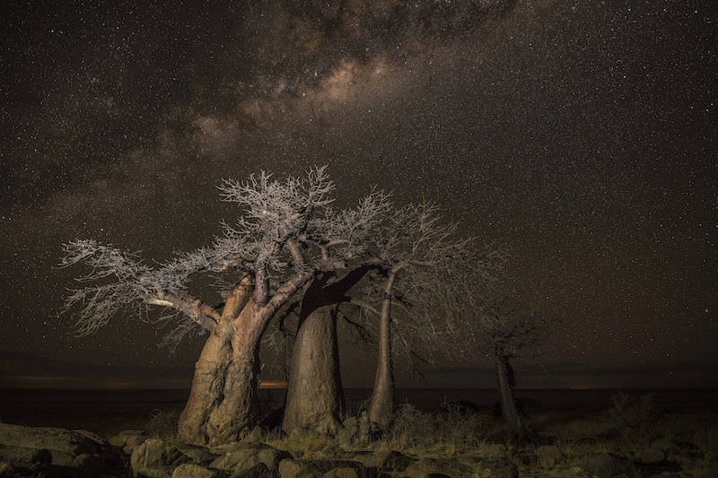 Dewald Tromp Nighttime at Kubu