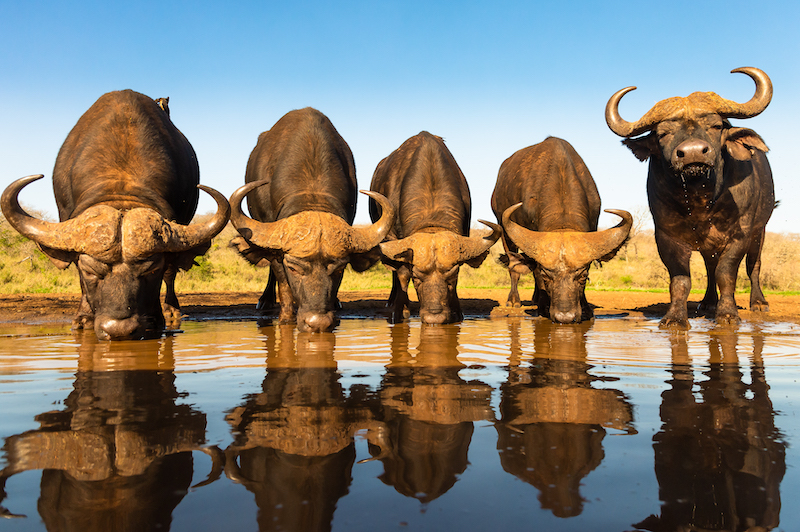 Francois Venter On the lookout