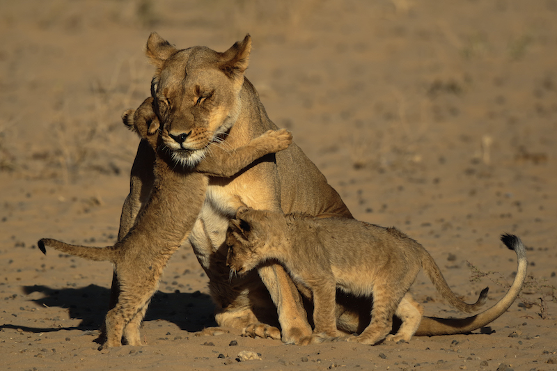 Francois van der Walt  Big hug for mom