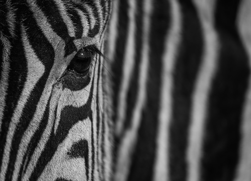 Heather Meintjes Up Close and Personal