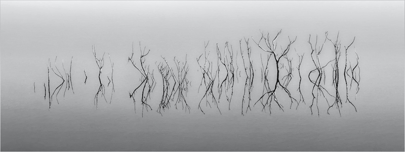 Louise De Lange Reflections