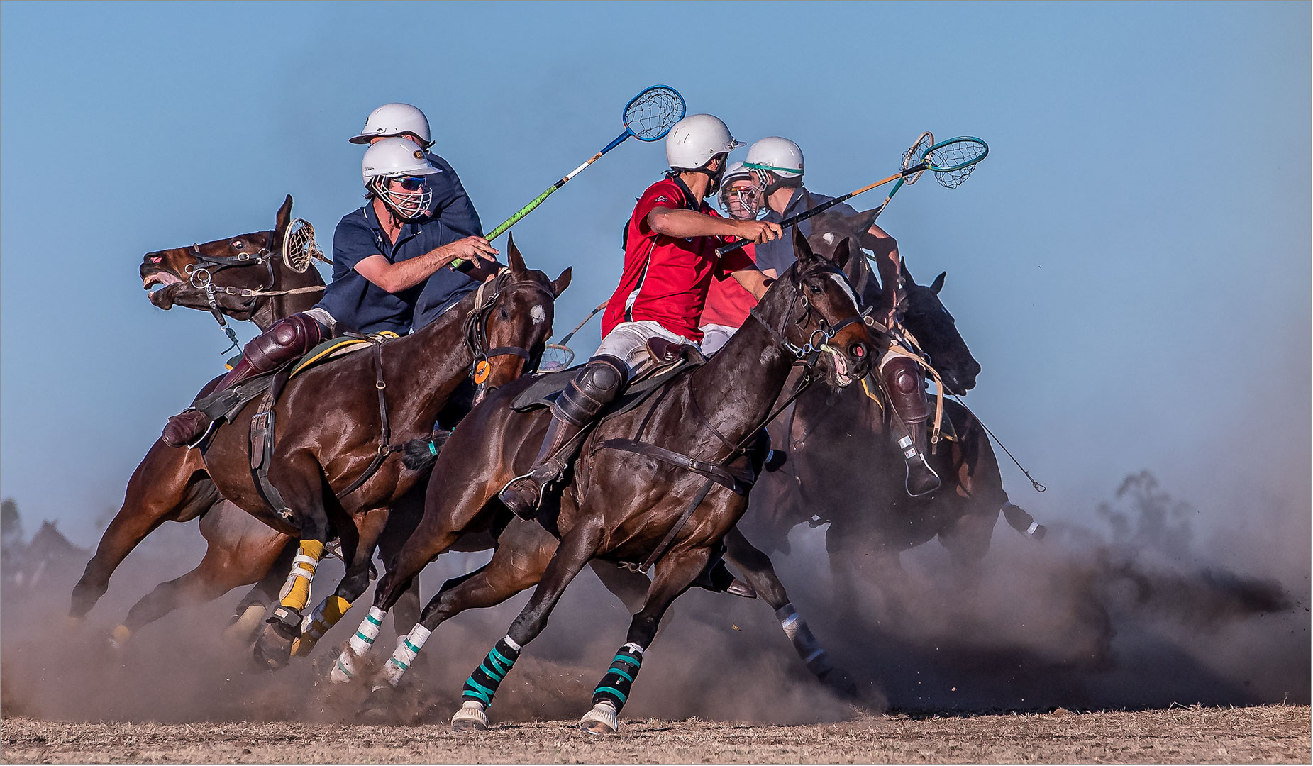 Best Bethal member  - Sport Colour - Polo-cross Altogether - Bertie Botha