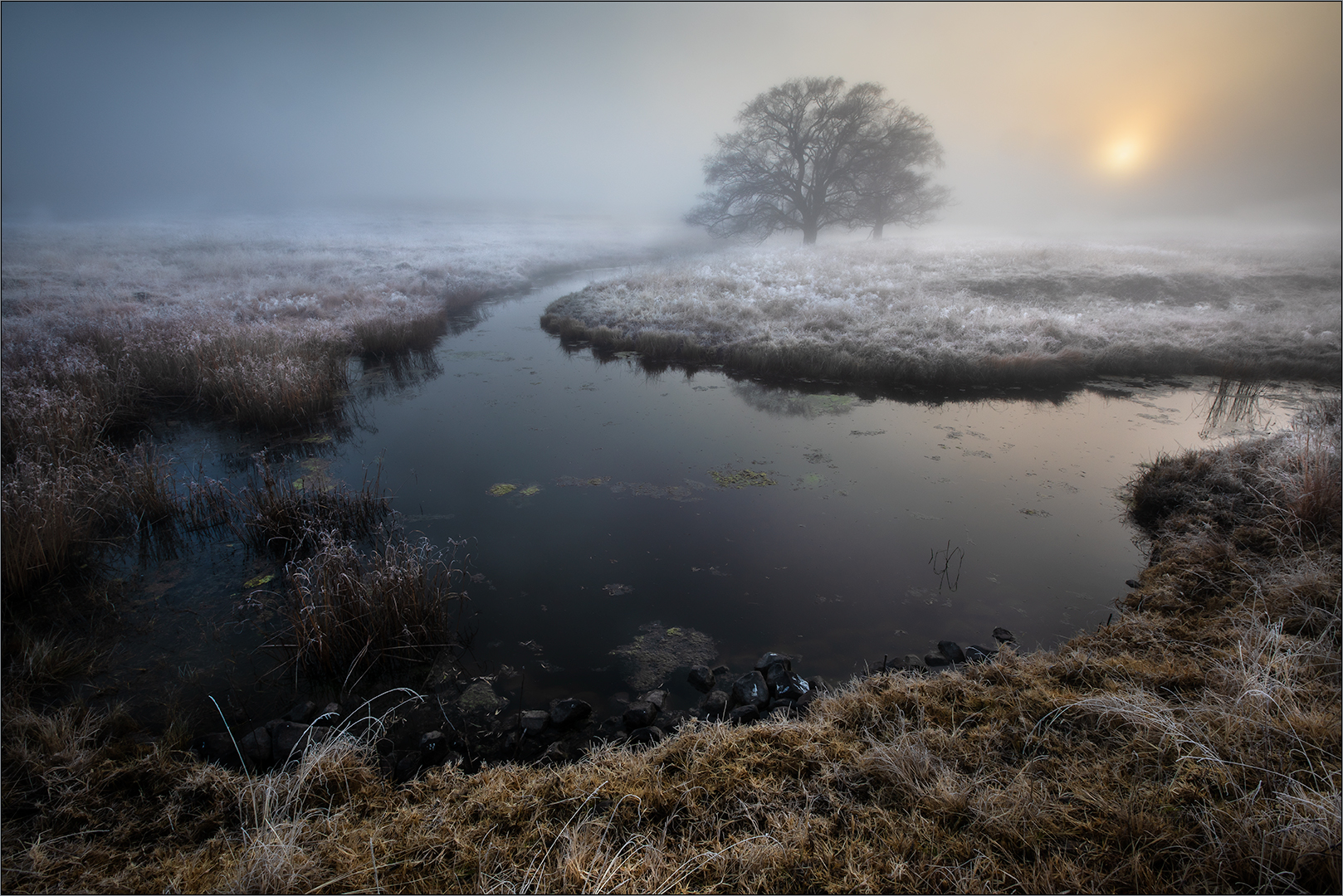 Best Bethal member - Scapes Colour - Misty morning - Bernie van der Vyver