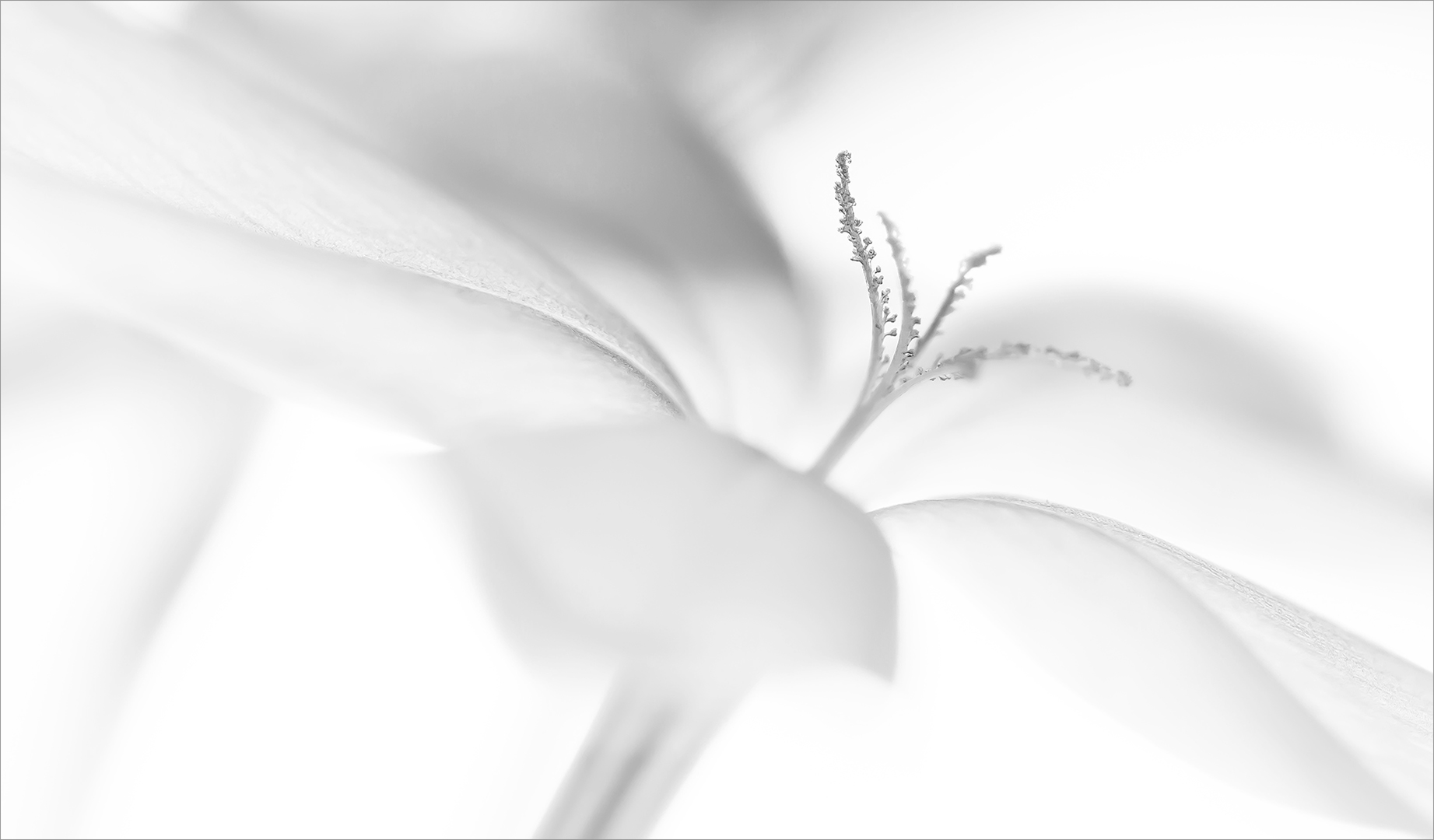 Club Medal - Open Mono - Soft as tissue - Andre Stipp - Tygerberg