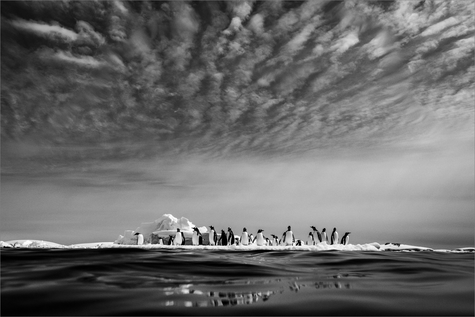PSSA Silver Medal - Open Mono - Under Antarctic skies mono - Nellie Tromp - Midlens