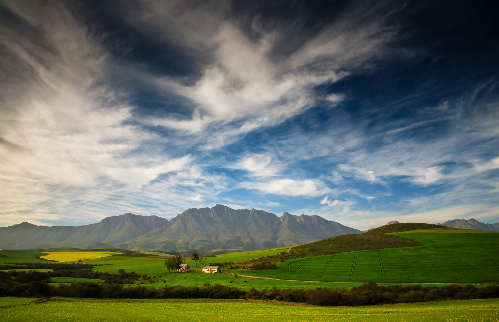 PSSA Silver Medal - Scapes Colour - Canola - Francois Venter - National PC
