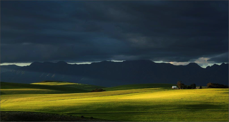 SAVAS Silver Medal Scapes Colour wheatfields sunbeams and a farm Lucy Gemmill Sandton