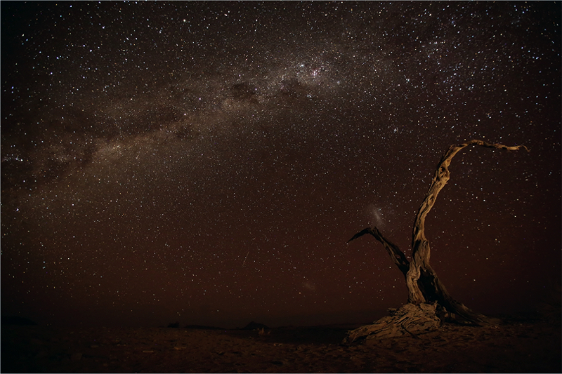 MCC Silver - Nature Landscapes - Milky way in the desert - Francois van der Watt - Bloemfontein