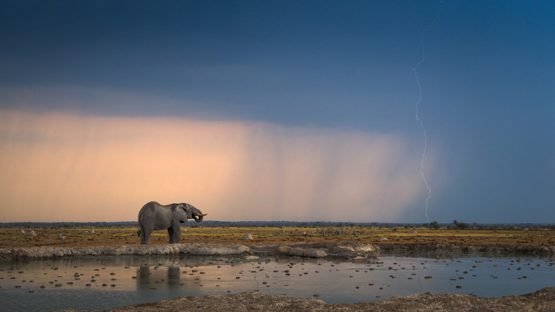 PSSA Silver Medal - Animals in their Environment -Nxai Pans Moment -Christo Giliomee - Tafelberg