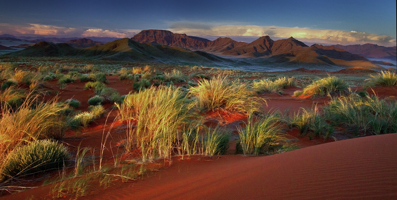 PSSA Silver Medal - Nature Landscapes -namib desert -Schalk Engelbrecht - George