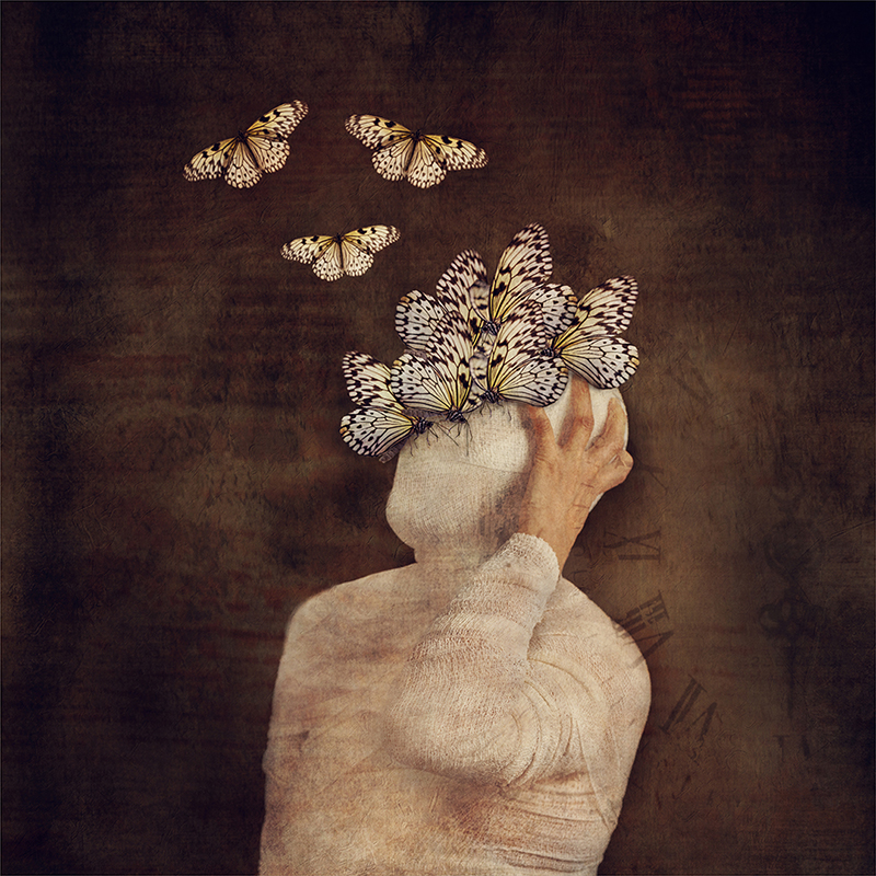 CCS Silver - Creative - Colour - Metamorphosis of the Mind - Lynne Kruger-Haye - Tygerberg Photographic Society