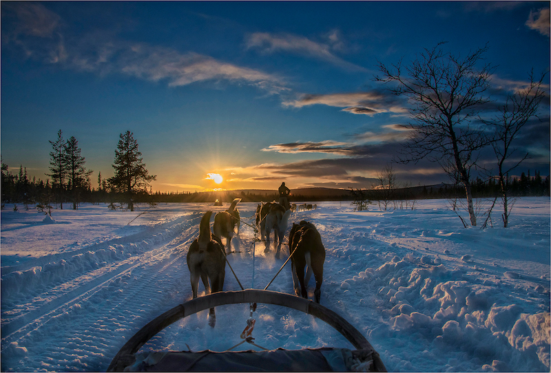 Brandpuntfotoklub Medal-Open Colour-Evelyn Gibson-Pretoria Photographic Society