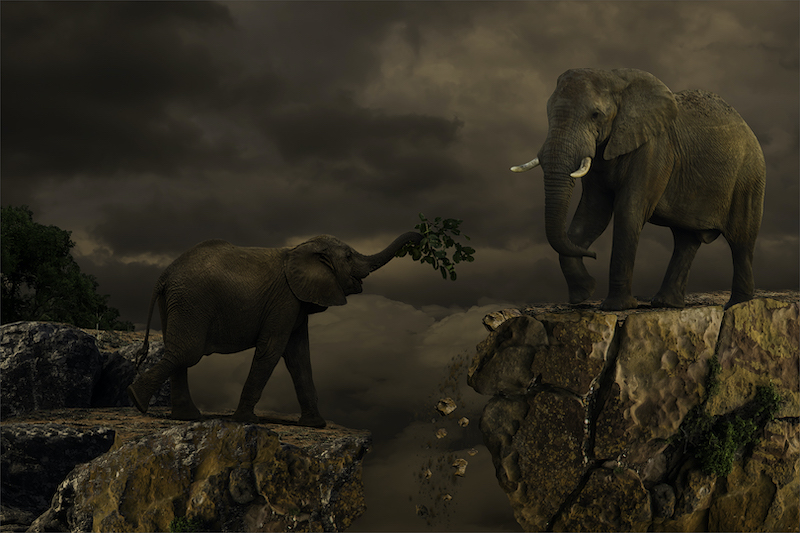 PSSA Silver Medal-Open Colour-Spokie van der Merwe-Kriel Foto Club