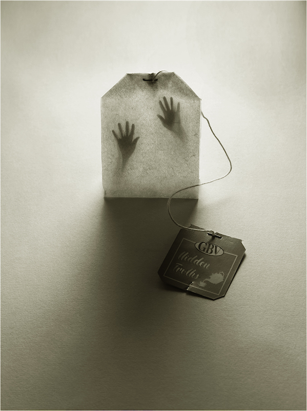 ACC Bronze Medal - Visual Art - Hidden Truths - Natascha Robinson - Westville Camera Club