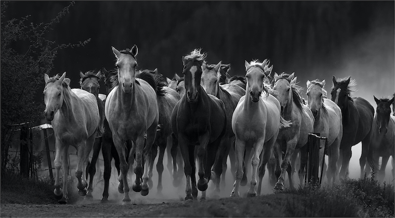 PSSA Bronze Medal - Runner-Up Open Mono - Sunset Run 3a - Geo Jooste - Bloemfontein Kameraklub