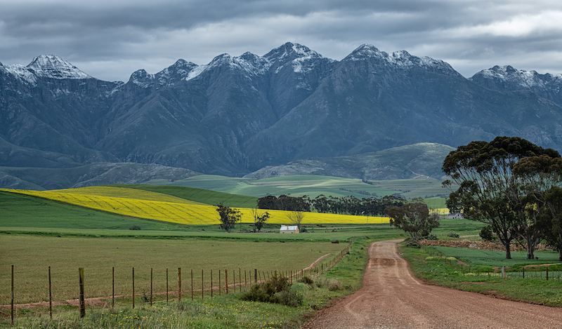 PSSA Bronze Medal - Runner-Up Our Country - Spring Snow - Anne Hrabar - Knysna Photographic Society