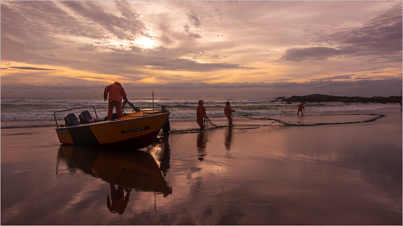 PSSA Silver Medal - Winner Our Country - Replacing Old Shark Nets - Louise Jackson - AFO Photography Club