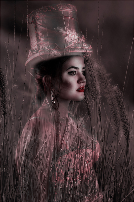 Kosmos Brons medalje - Creative Colour - Mistical red - santie kruger - Kosmos Fotografie Klub