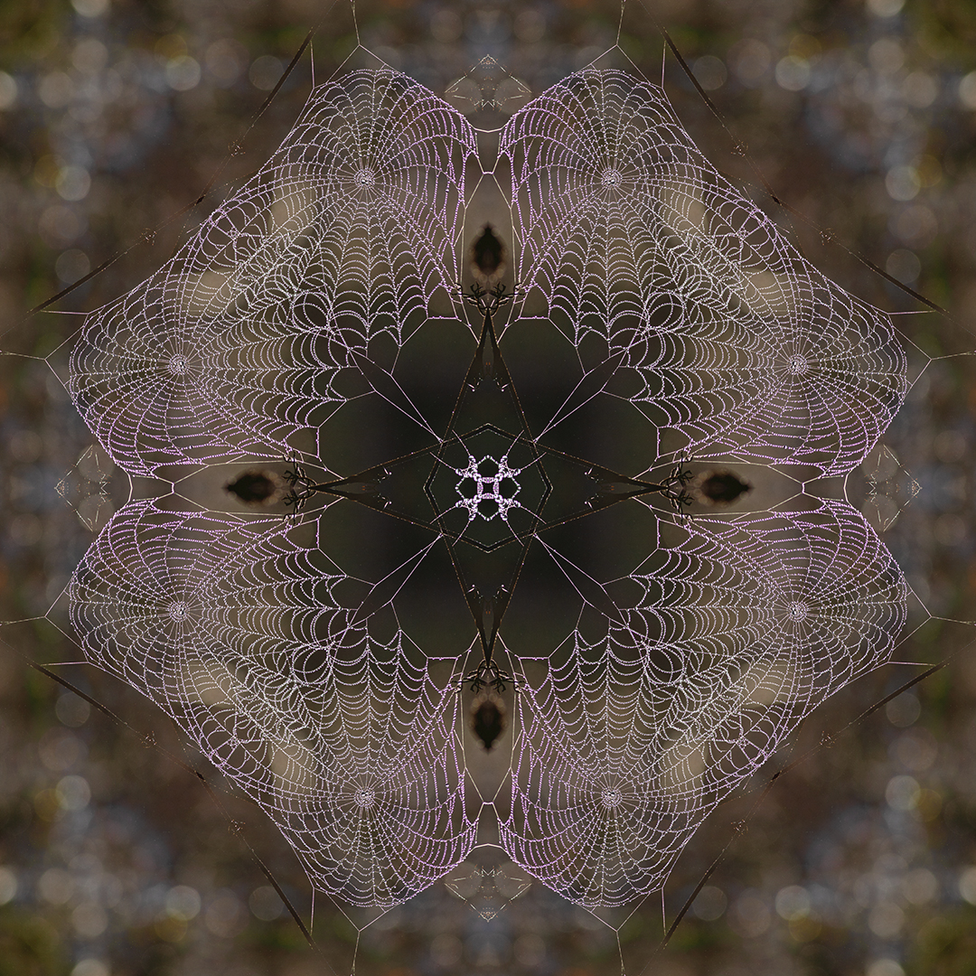 Creative Camera Club Bronze Medal-CCC-Abstract-Bedazzled-Michele-Ann Nel-Creative Camera Club