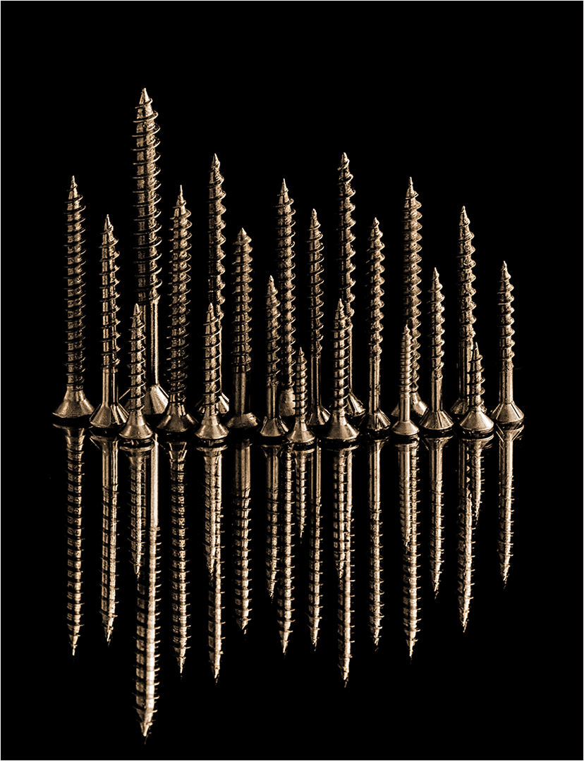 Creative Camera Club Bronze Medal-CCC-Open Colour-Twists of Gold-Michele-Ann Nel-Creative Camera Club