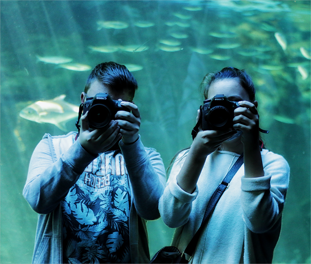 Creative Camera Club Bronze Medal-WPS-Aquarium selfie-Alexa Bothe-Witzenberg Photographic Society