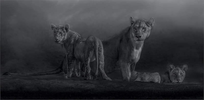 PSSA Silver Medal - Open - Monochrome - family of three - Jannes Drotsky - Bethal Fotografie Klub
