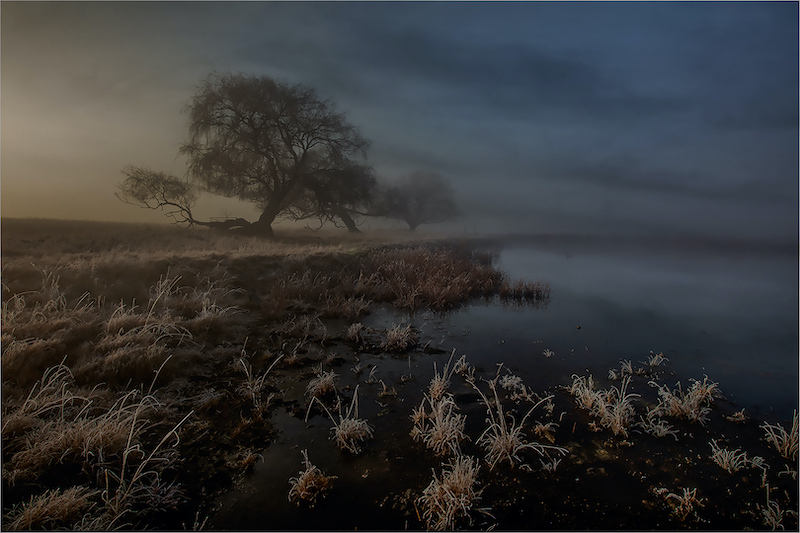 PSSA Silver Medal - Scapes - Colour - misty foggy morning - Jannes Drotsky - Bethal Fotografie Klub