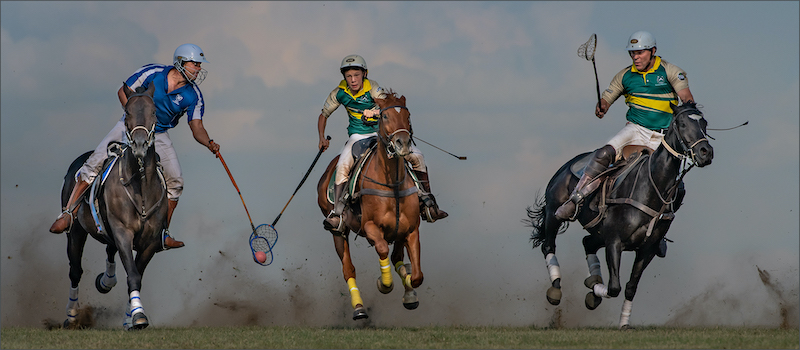 Club Medal - Open Colour - POLOCROSS ACTION 7 2021 - Leon Venter - Bethal Fotografie Klub