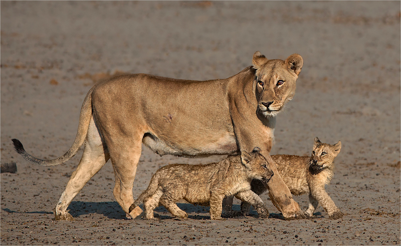Anette Ligthelm - Always cautious