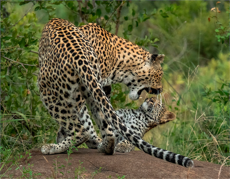 Leon Venter - I AM TALKING TO YOU N