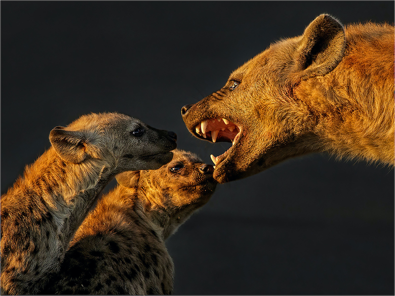 Charmaine Joubert - Telling off the kids