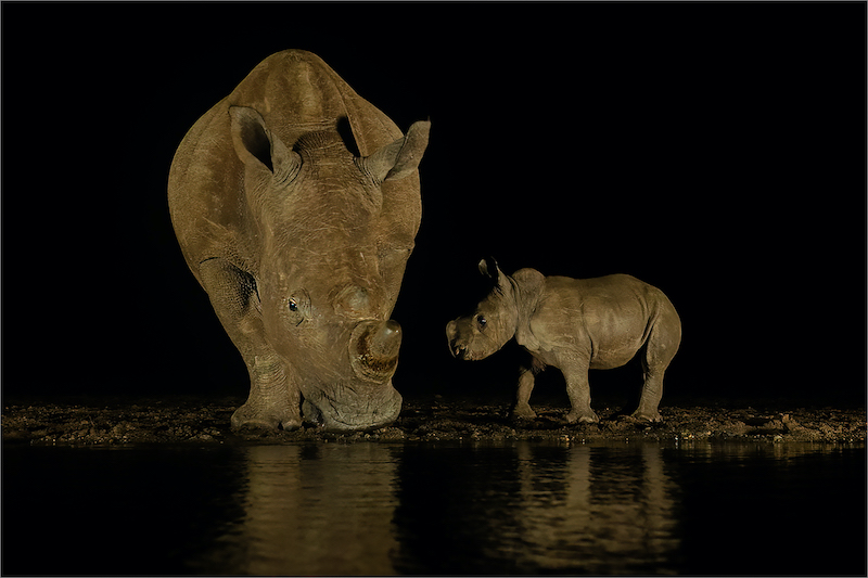 Shirley Gillitt - Mother and baby