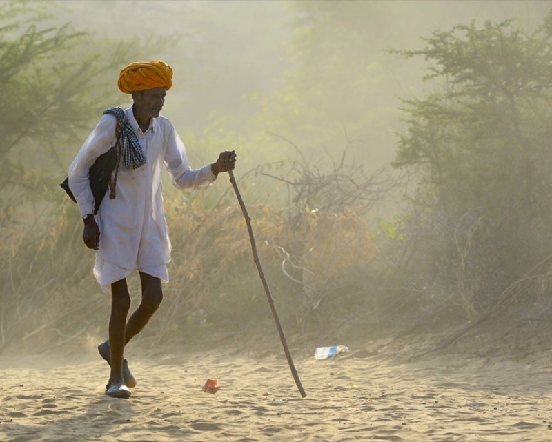 12 Camel Man - Jill Sneesby