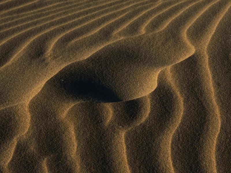 13 Dune ripples - Jill Sneesby