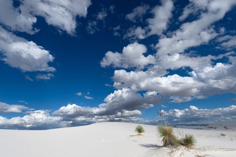 22 Alamorgado - Jill Sneesby