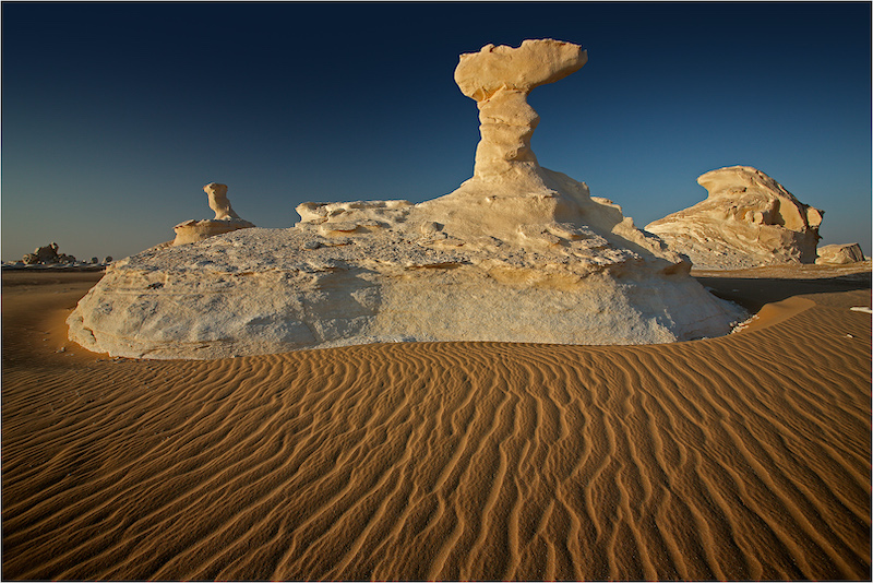 T20d 120910 5265 copy