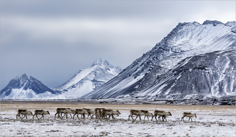 mp 3601-3700 3644 M3644 S1078377