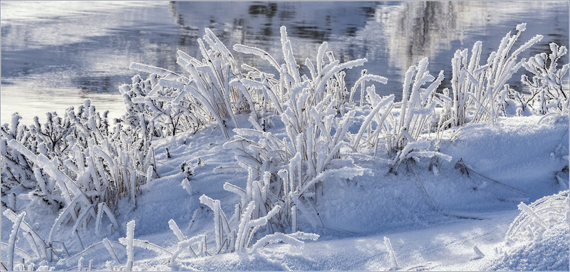 mp 3601-3700 3644 M3644 S1078381